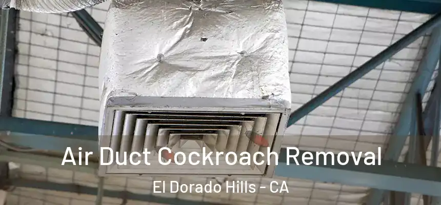  Air Duct Cockroach Removal El Dorado Hills - CA