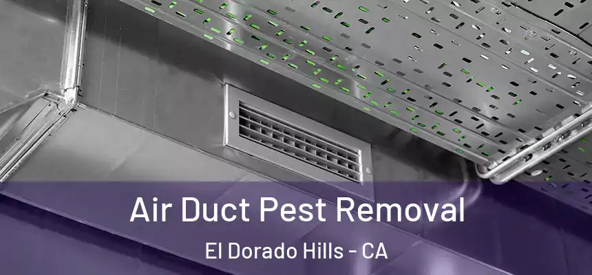  Air Duct Pest Removal El Dorado Hills - CA