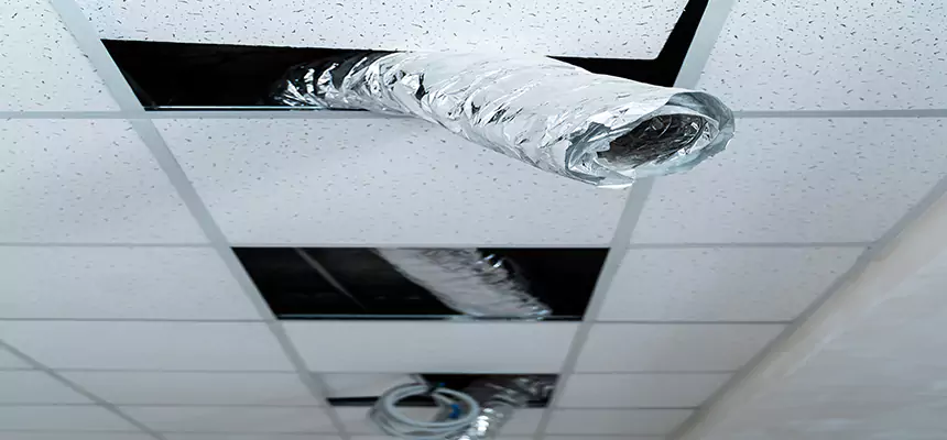 Affordable HVAC Sanitizing After Pest Removal in El Dorado Hills