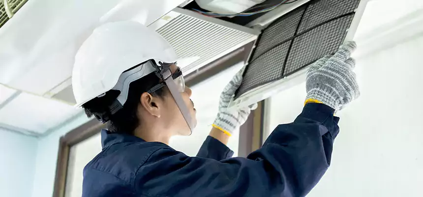 Our Mold & Mildew Removal from Air Ducts Services in El Dorado Hills, CA