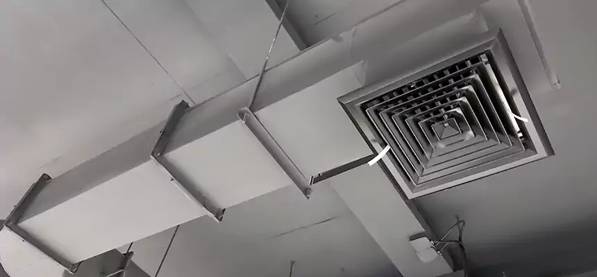 Our Pest Removal From Ducts Services in El Dorado Hills, CA