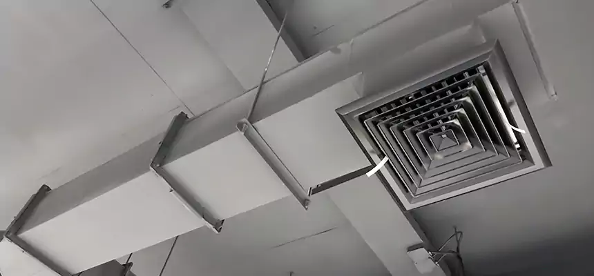 Our Rodent Droppings In Vents Services in El Dorado Hills, CA