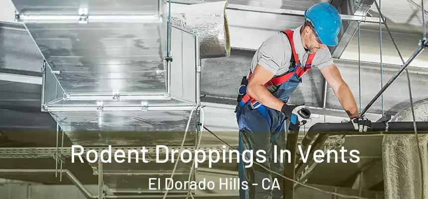  Rodent Droppings In Vents El Dorado Hills - CA