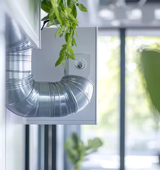 Professional Eco-Friendly Duct Cleaning Services in El Dorado Hills, CA