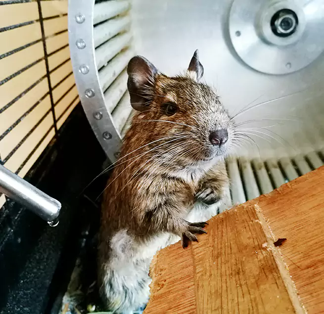 Why Homeowners & Businesses Trust Us El Dorado Hills, CA?