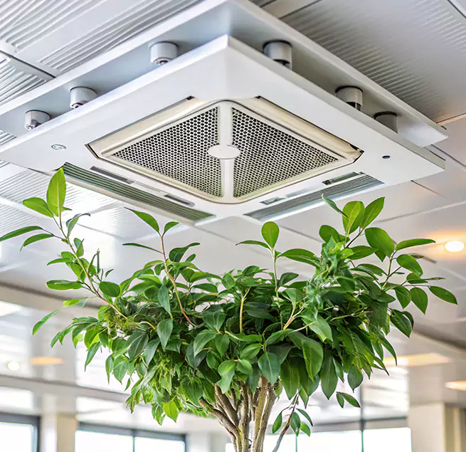 Why Homeowners & Businesses Trust Us in El Dorado Hills, CA