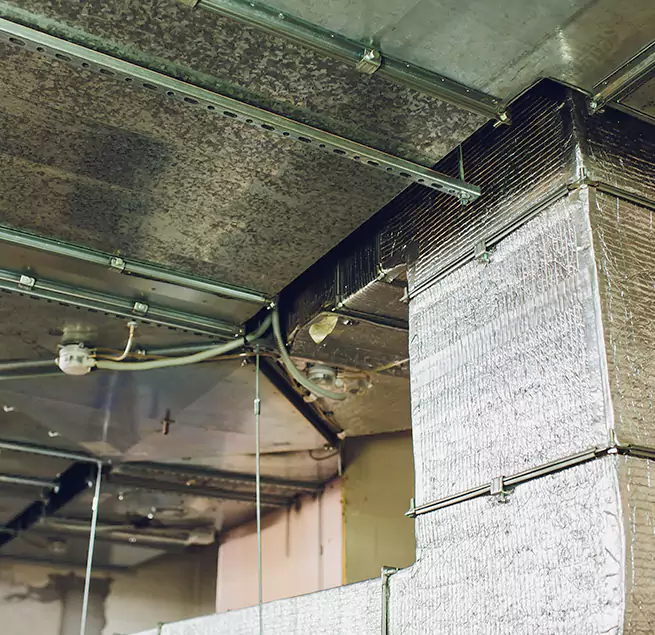 Why Homeowners & Businesses Trust Us in El Dorado Hills, CA?